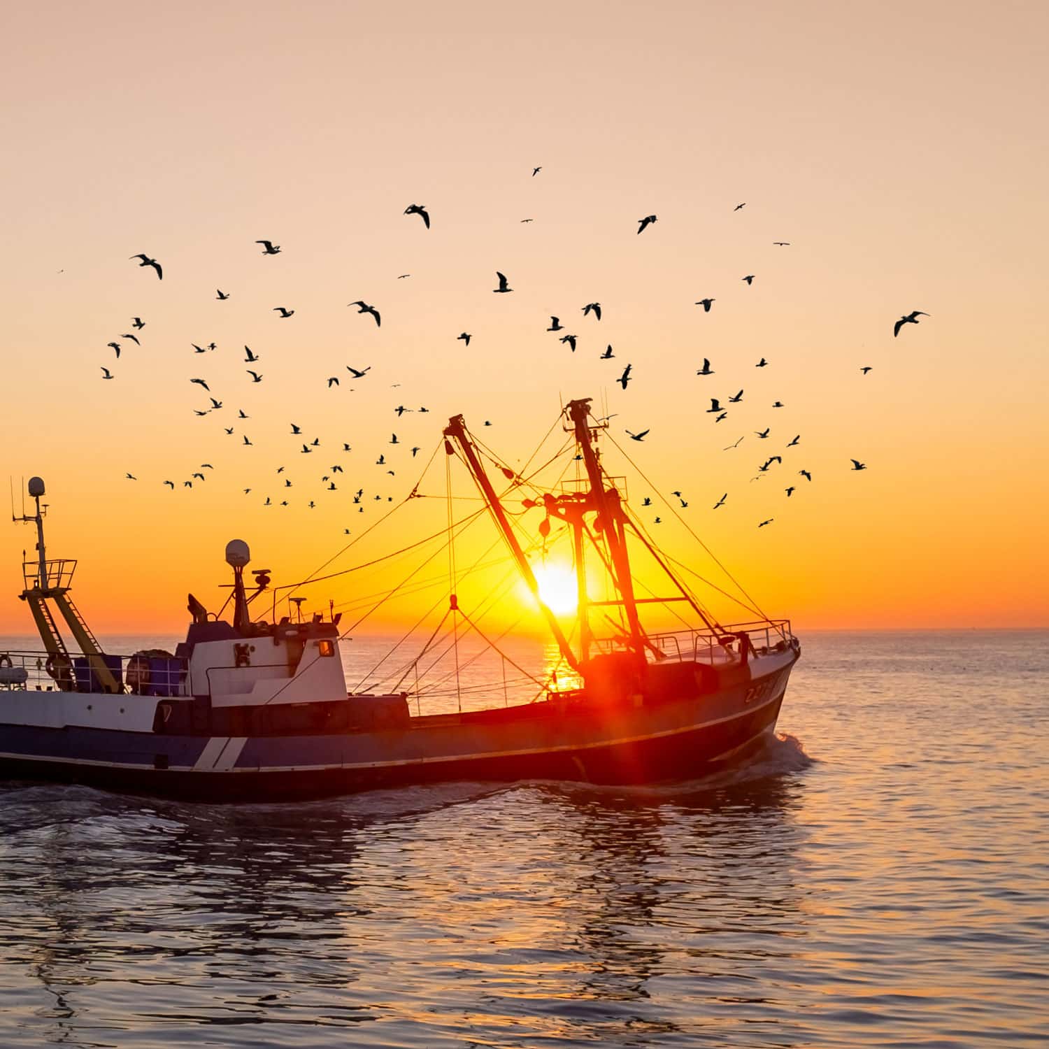 Casting a Wider Net for Safer Seafood? FDA Announces Regulatory Partnership Arrangement with Ecuador