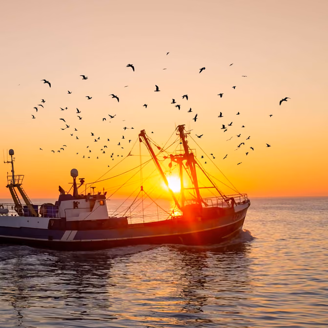 Casting a Wider Net for Safer Seafood?