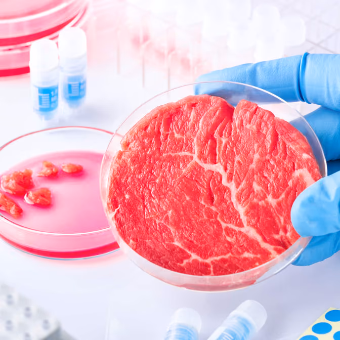 FDA Regulation of Human Food Made from Cultured Animal Cells and Updates on FDA’s Imported Seafood Program