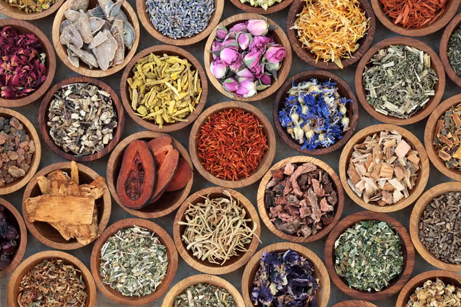 Herbs, Hocus Pocus and the FDA