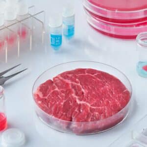Mid Summer Grillin’! Fire up the…Cell Incubator? FDA and USDA Regulatory Updates on Lab Grown Meat