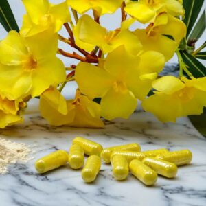 Toxic Yellow Oleander in Certain Supplements Receives Updated FDA Warning