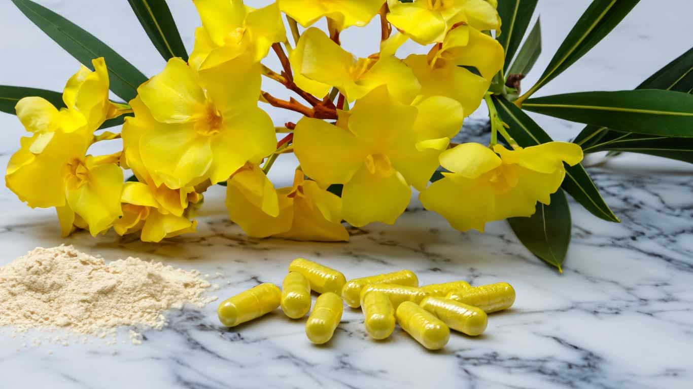 Toxic Yellow Oleander in Certain Supplements Receives Updated FDA Warning