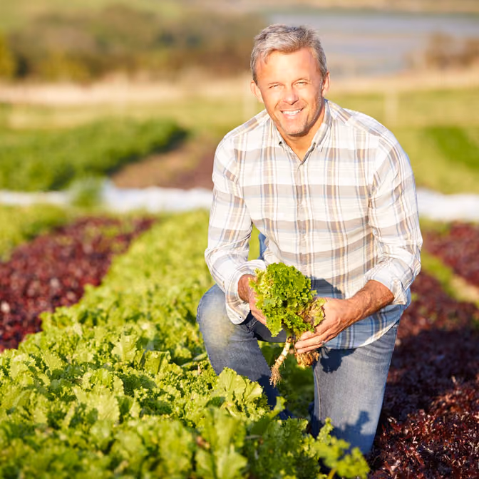 USDA Ushers Organic Regulation Changes for the First Time in Over 30 Years